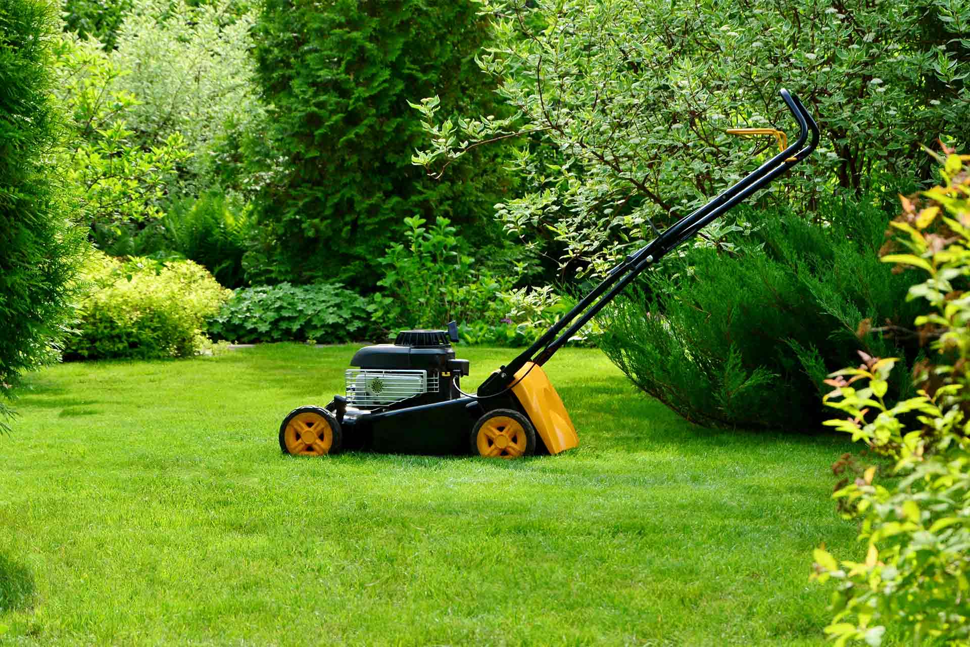 garden maintenance cost