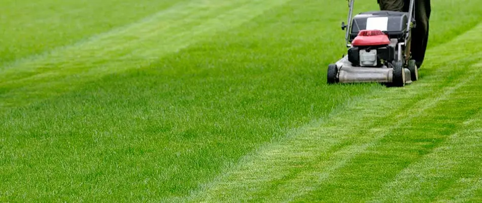content mowing a lawn