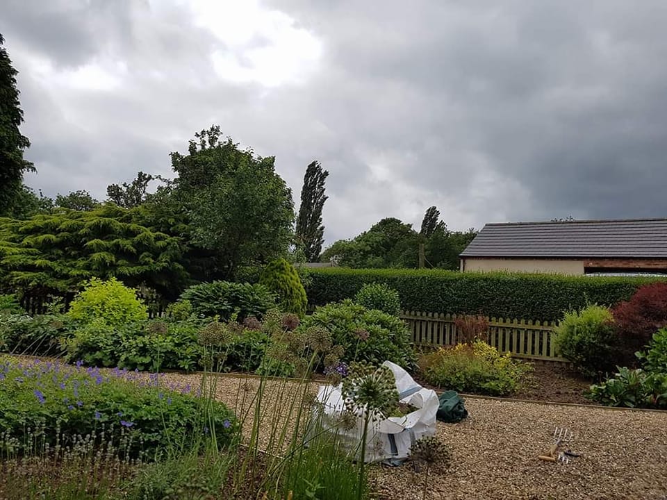 340117527 1256665658584367 1974068218772938433 n copy