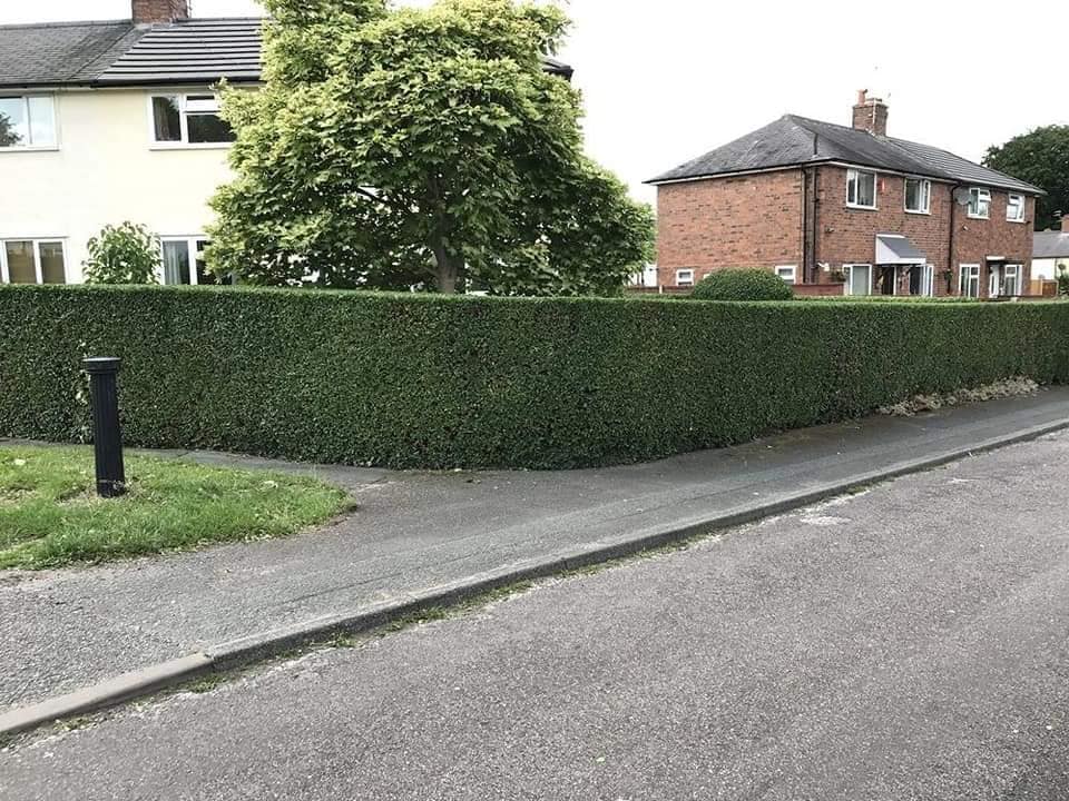 382972902 301107376005365 7756630788850679434 n