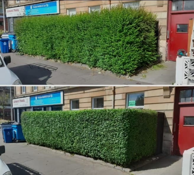 whatsapp image 2025 01 09 at 22.11.31 1632b874