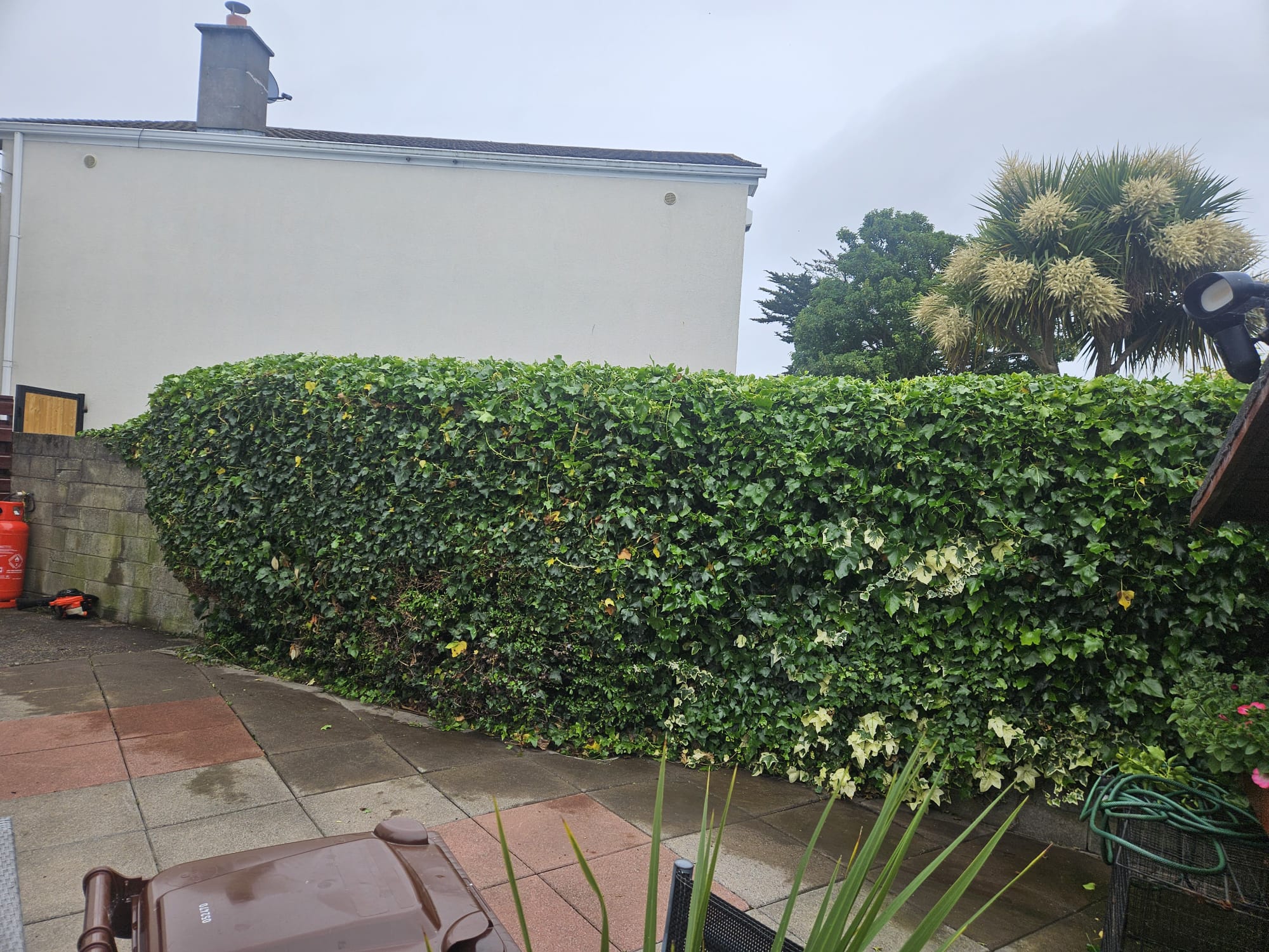 whatsapp image 2026 02 02 at 11.59.59 pm (1)