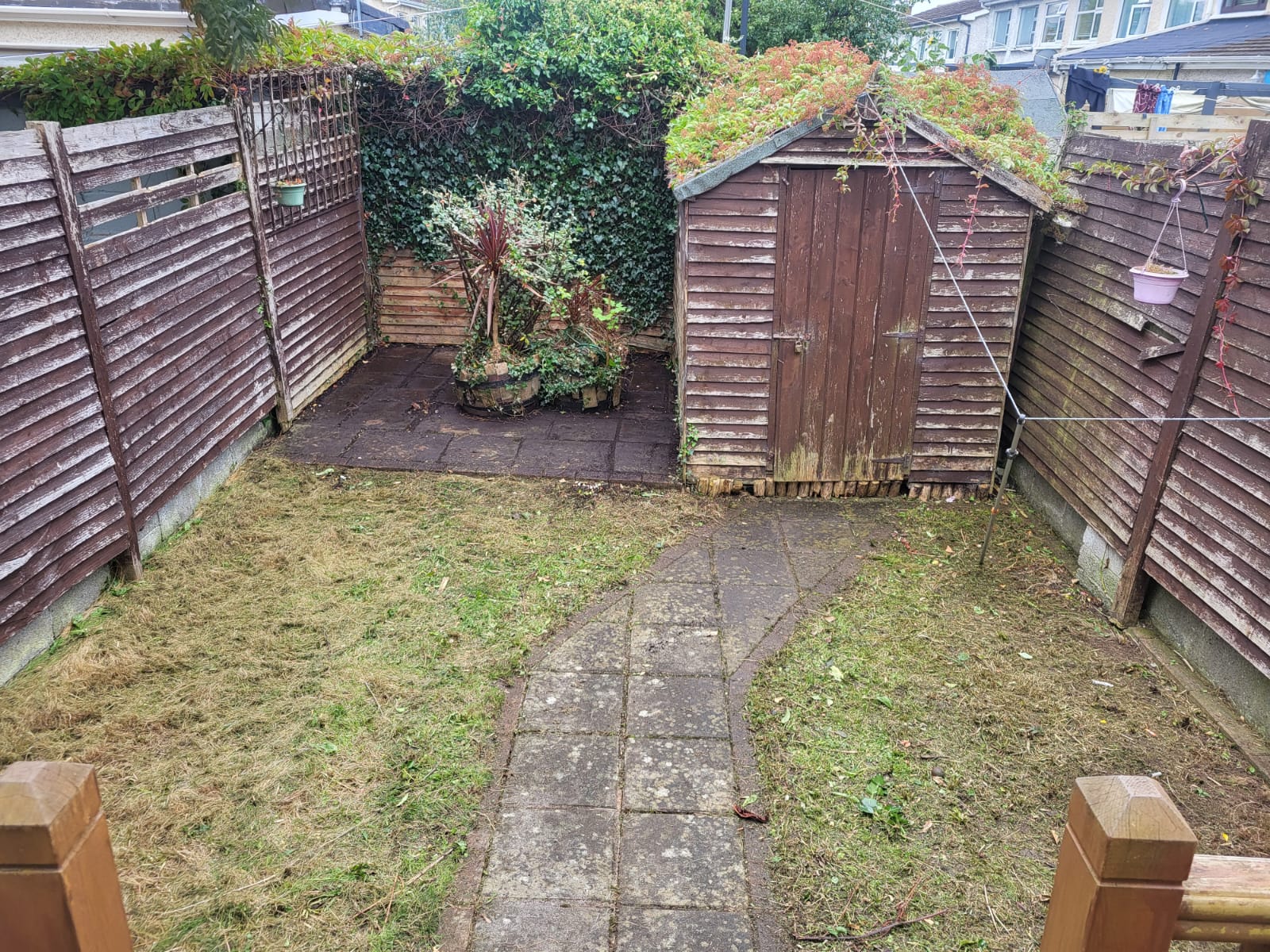 whatsapp image 2026 02 03 at 2.51.56 am (1)