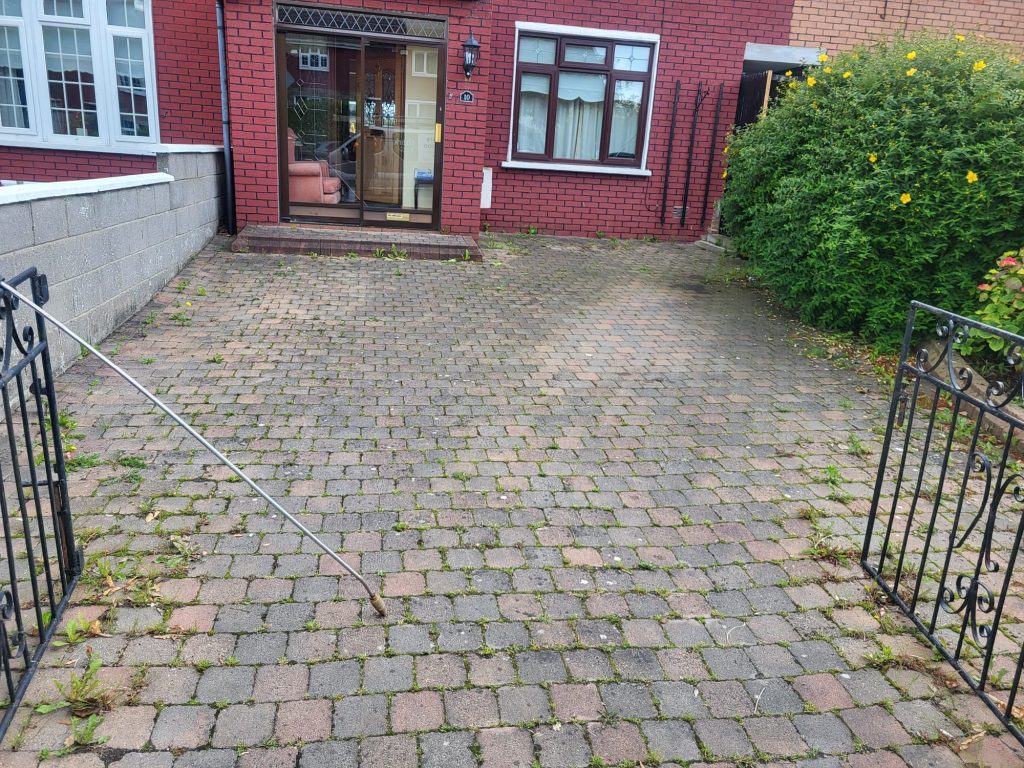 whatsapp image 2026 02 04 at 12.24.44 am (1)